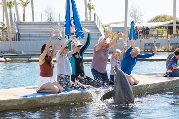 Things To Do The Gulfarium